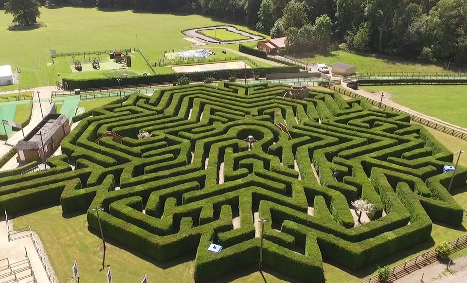 11 Magical maze in Stockeld Park 